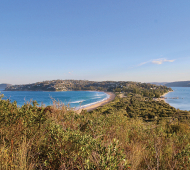 Calls for Northern Beaches Council to declare a climate emergency