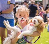 Festival of Mosman: Top 5 Events 